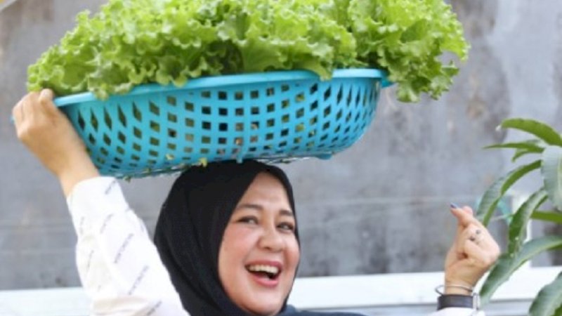 Wakil Wali Kota Makassar, Fatmawati Rusdi, panen selada di Lorong Wisata (Longwis) di Kelurahan Bara-Baraya, Kecamatan Makassar, Sabtu (20/8/2022).