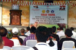Kementan Salurkan Bantuan Bagi Peternak Terdampak PMK di Bali