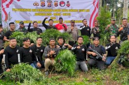 Polres Lhokseumawe dan Tim Gabungan Musnahkan Puluhan Ribu Batang Ganja