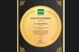 Misinformasi Penghargaan Swasembada Beras, IRRI Klarifikasi