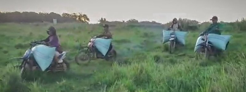 Gubernur Sulsel Bersyukur Program Mandiri Benih Berhasil di Wajo