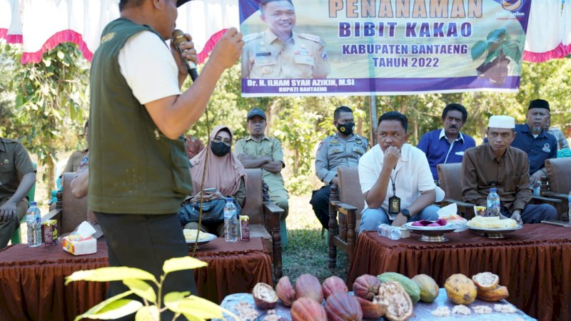 Pemkab Bantaeng Mulai Tanam Bibit Kakao di Dua Desa