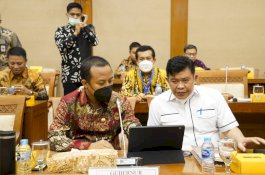 Sewa Lahan Tambang PT Vale Hanya Bayar Rp 60 Ribu per Hektar