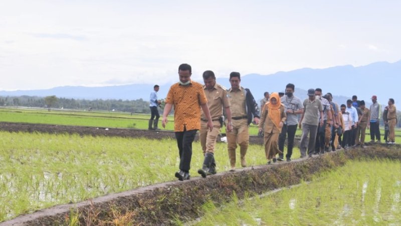 Gubernur Sulsel, Andi Sudirman Sulaiman (depan), saat mengunjungi salah satu lokasi persawahan, beberapa waktu lalu.