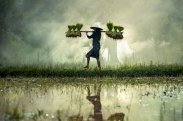 BPS: September 2022, NTP Nasional Capai 106,82