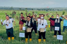 Mentan SYL Ajak Sri Sultan HB X Kolaborasi Pengembangan Pertanian