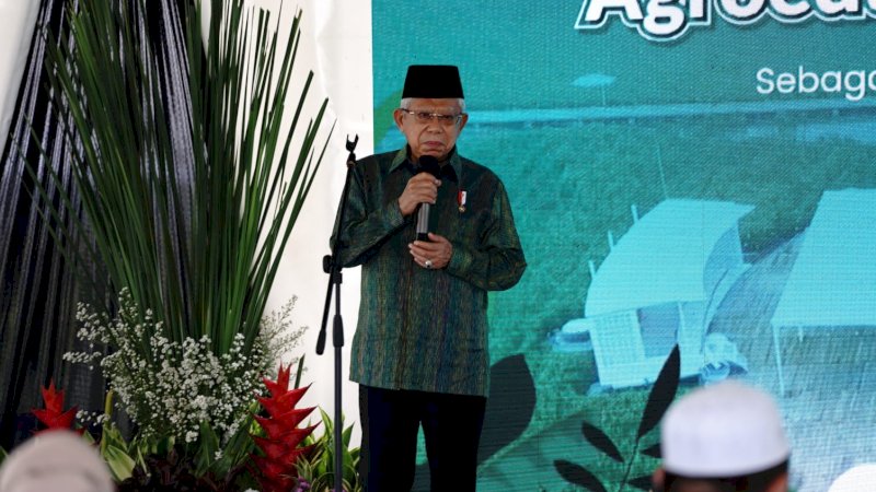 Wapres RI Maruf Amin Apresiasi Kemajuan Sektor Pertanian Indonesia