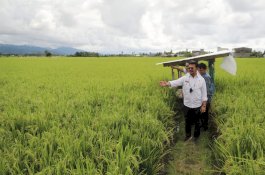 Guru Besar Unhas Dorong Diversifikasi Melalui Pengembangan Sumber Pangan Lokal