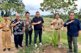 Turun Monev, Kementan Sebut Penanaman Kelapa Genjah di Solo Raya Tumbuh 100 Persen