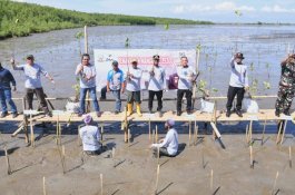 Tanam 35.300 Batang Mangrove, Gubernur Sulsel: Tanam Satu Pohon, Selamatkan Ribuan Makhluk Hidup