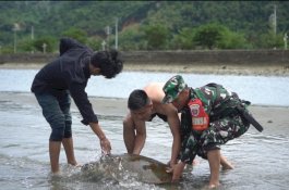 Aksi Heroik Pak Babinsa dan Anggota PMII Selamatkan Hewan Langka di Pesisir Pantai