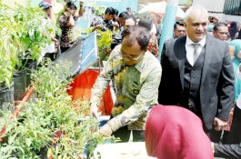 Wali Kota Makassar Minta Warga Bersiap Terima dan Layani Pengunjung Longwis