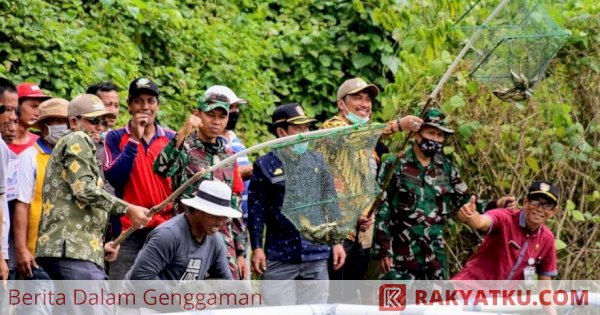 Inovasi Tiktok Jablay, Masyarakat Nelayan Wajo Kini Dapat Cuan dari Ikan Tokek