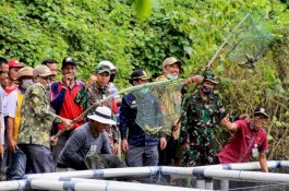 Inovasi Tiktok Jablay, Masyarakat Nelayan Wajo Kini Dapat Cuan dari Ikan Tokek
