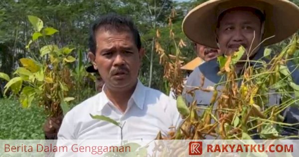 Kementan Genjot Pangan Lokal Aneka Tepung Gluten Free