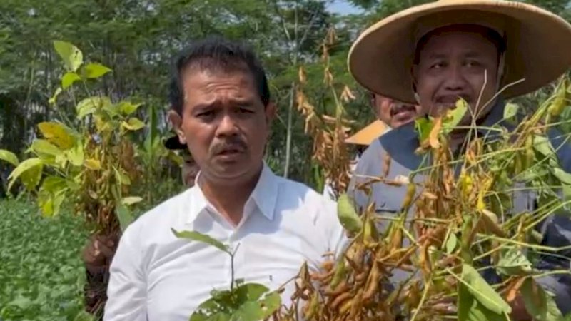 Kementan Genjot Pangan Lokal Aneka Tepung Gluten Free