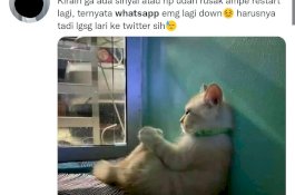 WhatsApp Tak Bisa Kirim Pesan, Pengguna Mengeluh di Twitter