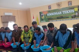 Kenalkan Pertanian Ramah Lingkungan, Penyuluh Sulteng Dilatih Cara Pembuatan Biosaka