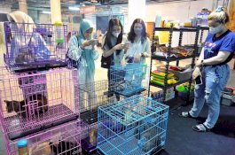 Kolaborasi dengan KPKSI, Animal Zone Nipah Park Jadi Ajang Pemersatu Pecinta Hewan Peliharaan