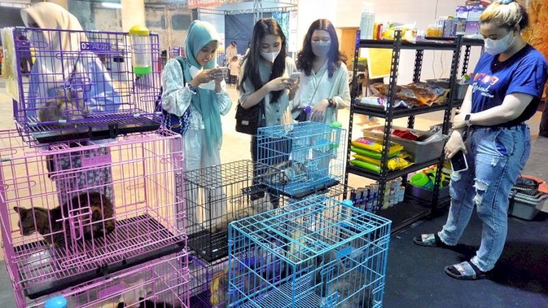 Kolaborasi dengan KPKSI, Animal Zone Nipah Park Jadi Ajang Pemersatu Pecinta Hewan Peliharaan