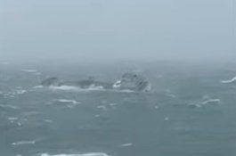 Kapal Kargo Vietnam Karam di Taiwan, 12 ABK Asal Indonesia Hilang, Ada dari Sulsel