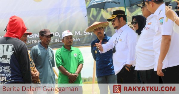 Gelar Panen Raya di Kolaka Timur, Mentan SYL Apresiasi Petani Tingkatkan Produktivitas