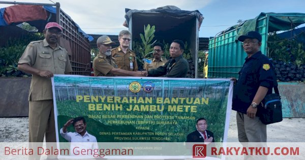 Produksi Benih Unggul, Kementan Melalui BBPPTP Surabaya Bangun Nursery Jambu Mete di Bombana