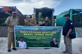 Produksi Benih Unggul, Kementan Melalui BBPPTP Surabaya Bangun Nursery Jambu Mete di Bombana