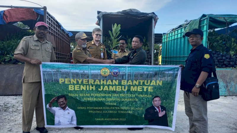 Produksi Benih Unggul, Kementan Melalui BBPPTP Surabaya Bangun Nursery Jambu Mete di Bombana
