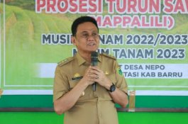 Bupati Barru Turun Sawah Bareng Petani Mallusetasi
