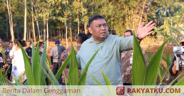 Pengembangan Kelapa Genjah 1 Juta Batang, Kementan Optimalisasi Lahan Pekarangan dan Tak Produktif