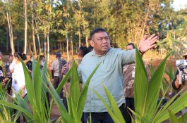 Pengembangan Kelapa Genjah 1 Juta Batang, Kementan Optimalisasi Lahan Pekarangan dan Tak Produktif