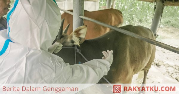 Bali Kendalikan PMK dan Rabies, Siap Sukseskan KTT G20