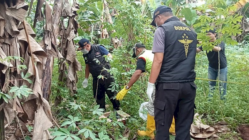 Mayat Bayi Terbungkus Plastik Ditemukan di Kebun Ubi Gegerkan Warga