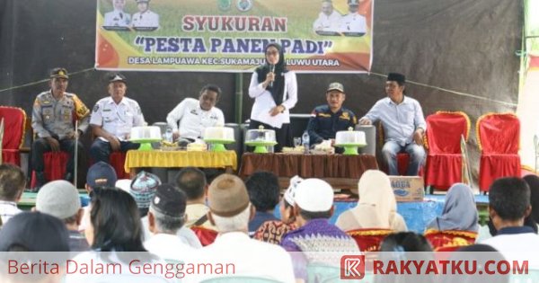 Hasil Panen Padi Desa Lampuawa Capai Rp15 Miliar, Bupati Luwu Utara: Alhamdulillah