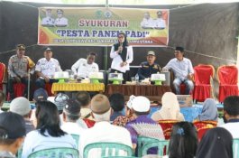 Hasil Panen Padi Desa Lampuawa Capai Rp15 Miliar, Bupati Luwu Utara: Alhamdulillah