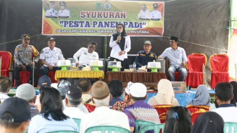 Pesta panen di Desa Lampuawa, Kecamatan Sukamaju, Kabupaten Luwu Utara, Rabu (16/11/2020).