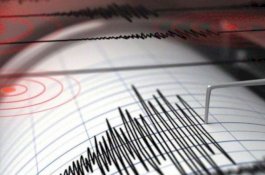Gempa Magnitudo 5,1 Terjadi di Melonguane Sulawesi Utara