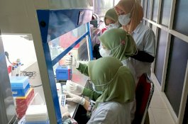 Fakultas Farmasi UMI Lakukan Penelitian Tanaman Bunga Kersen, Ini Hasilnya 