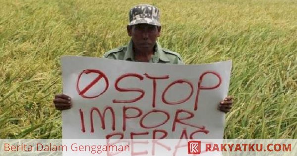 Stok Melimpah, Daerah Produsen Beras Minta Pemerintah Tak Impor