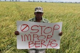 Beras Impor Tak Mampu Turunkan Harga dalam Negeri