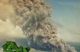 Gunung Api Semeru Muntahkan Awan Panas Guguran Sejauh Tujuh Kilometer