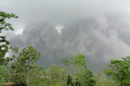 BNPB: 1.979 Jiwa Mengungsi Akibat Erupsi Gunung Semeru 