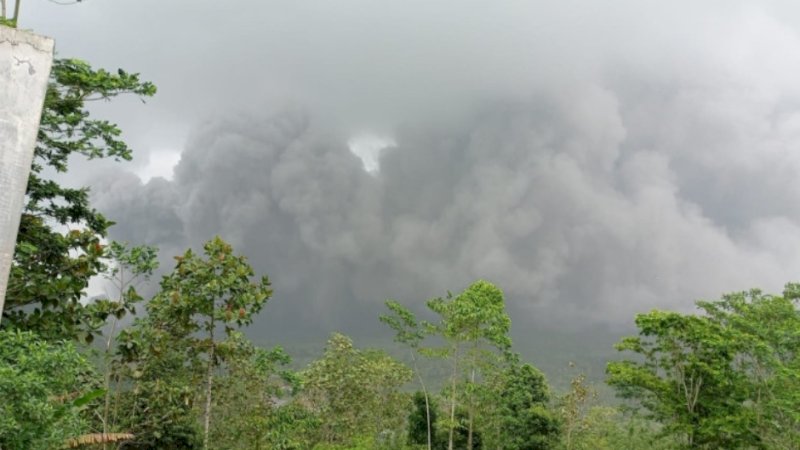 Awan panas guguran (APG) Gunung Semeru yang terjadi pada Minggu (4/12). (Foto: BPBD Kabupaten Lumajang)