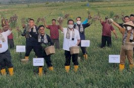 BPS Ingatkan Pentingnya Menjaga Stok Pangan Saat Panen Raya