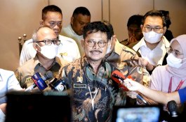 Beras Nasional Cukup, Kementan Percaya Data BPS