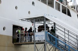 Pelindo Regional 4 Prediksi Call Kapal Meningkat 104 Persen dan Arus Penumpang Tumbuh 120 persen di Banding Tahun Lalu