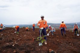 PT Vale Wujudkan Komitmen Peduli Lingkungan lewat Penanaman Pohon