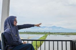 Diresmikan Bupati Luwu Utara, Pelabuhan Kadawang Diharap Tingkatkan Pendapatan Nelayan