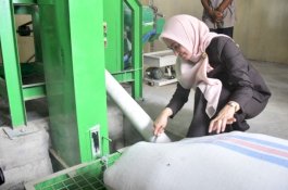 Tingkatkan Ketahanan Pangan, Bupati Luwu Utara Resmikan Infrastruktur Lumbung Pangan di Desa Laba